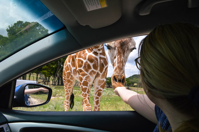 Fossil Rim Wildlife