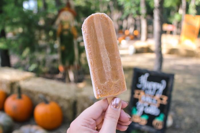Pumpkin Popsicle Blase Family Farm