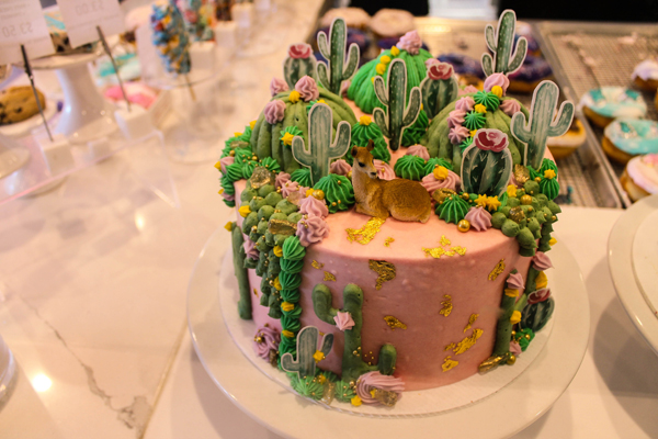 Llama Cactus Cake Sweet Daze