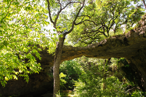 Natural Bridge Caverns