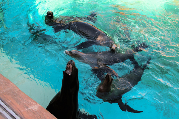 San Antonio, TX weekend trip