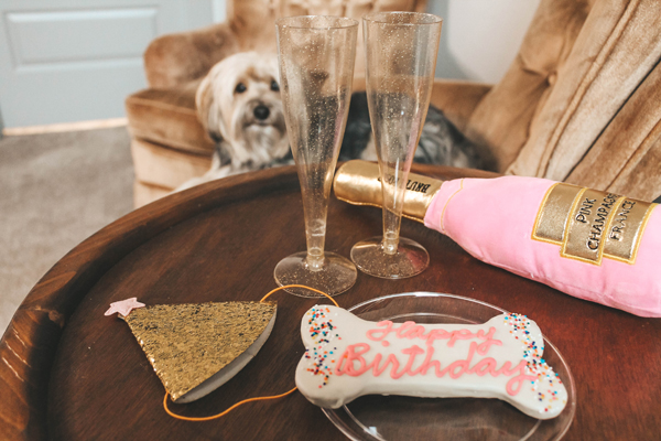 dog birthday party supplies