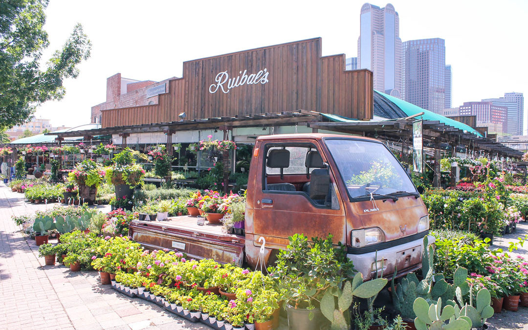 Ruibal’s Plants of Texas