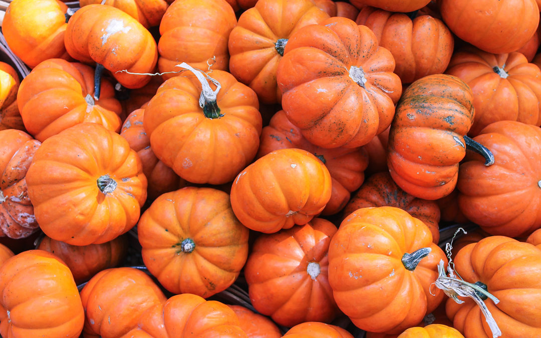 The Ultimate Guide to Fall Festivals and Fun in DFW 2019