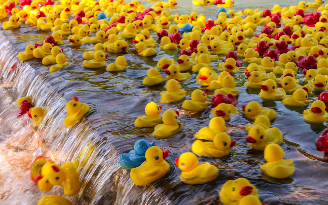 Rockwall Rubber Duck Regatta