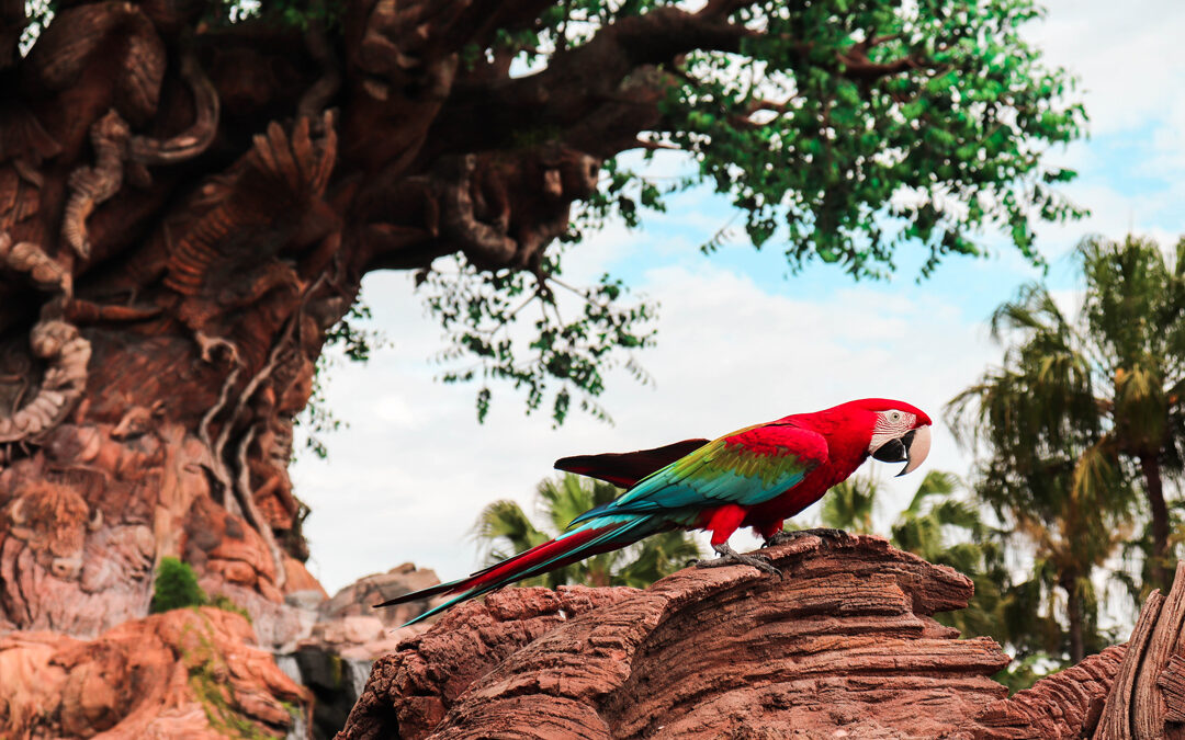 The 30 Best Disney World Instagram Spots